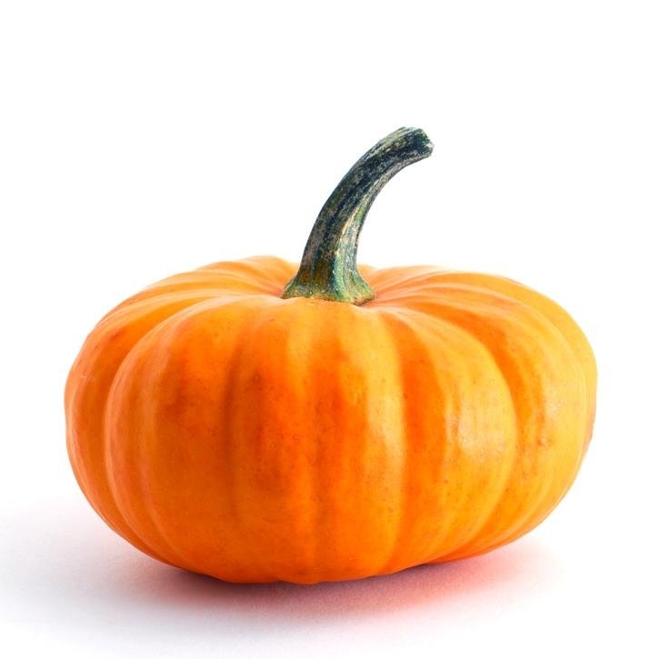 calabaza-planta-soria-natural