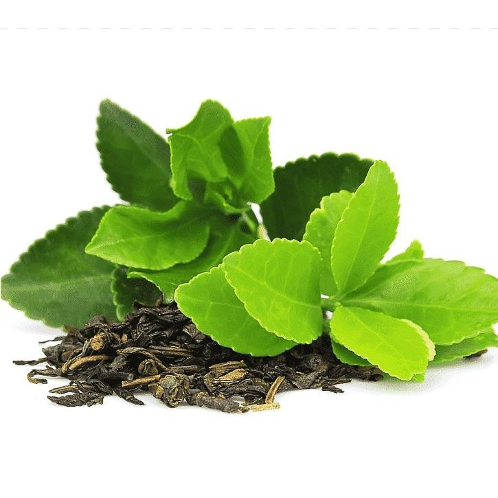 té-negro-planta-soria-natural