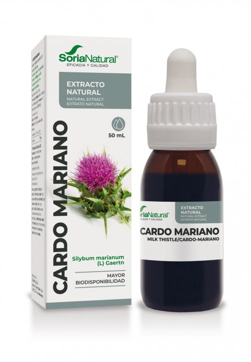 CARDO MARIANO EXTRACTO SN SP.jpg