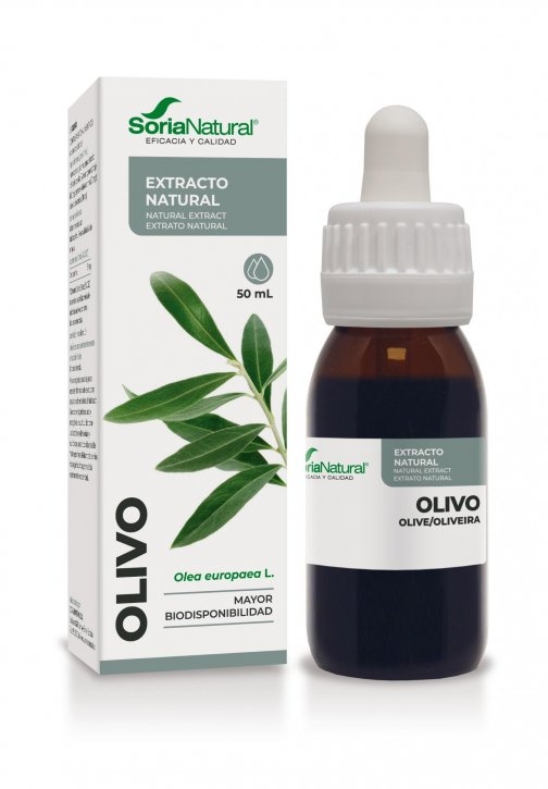 olivo_extracto_soria_natural.jpg