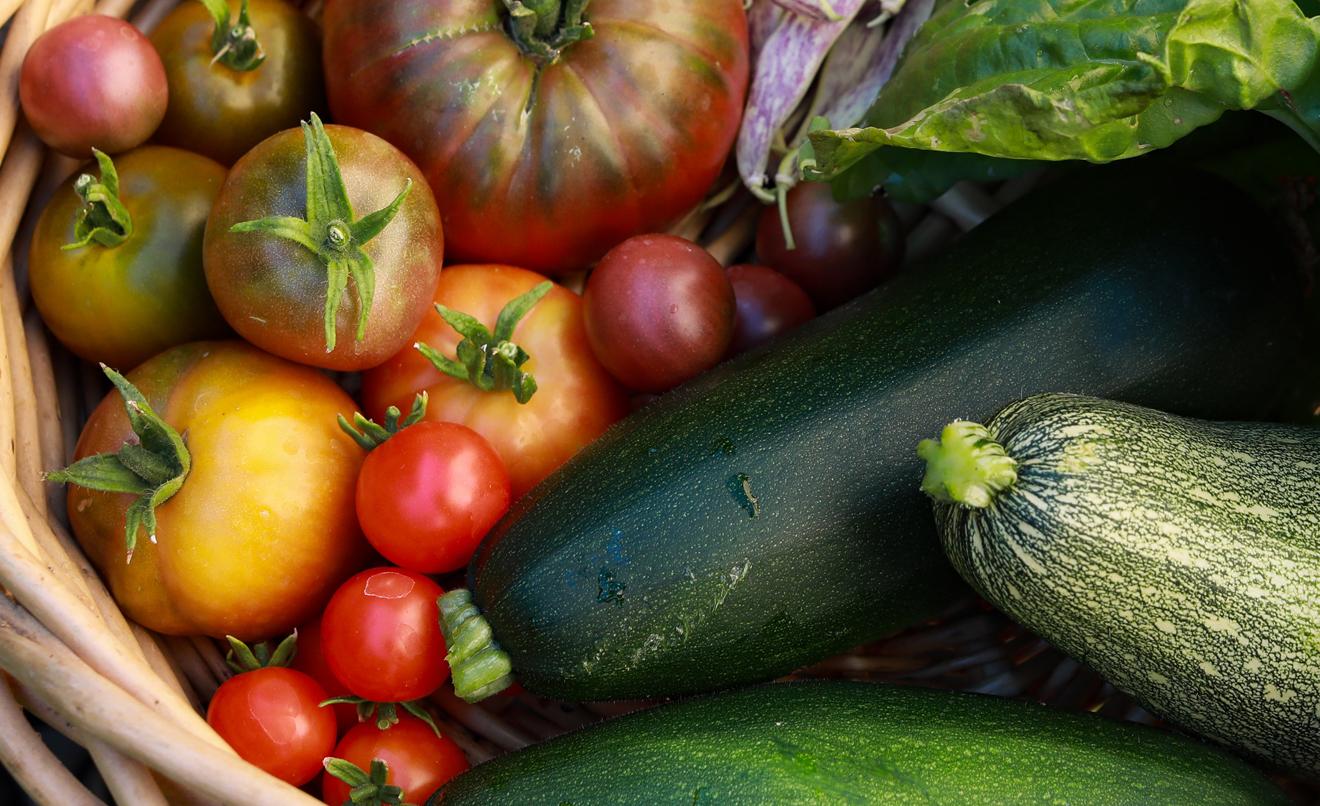 portada-alimentos-huerta-hidratan.jpg