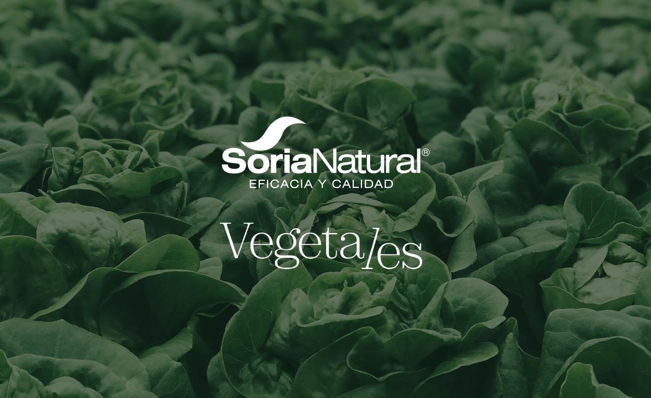 portada-VEGETALES-2024.jpg