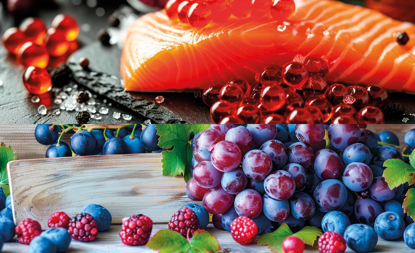 portada-antioxidantes-resveratrol-antaxantina.jpg