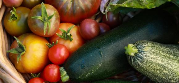 portada-alimentos-huerta-hidratan.jpg