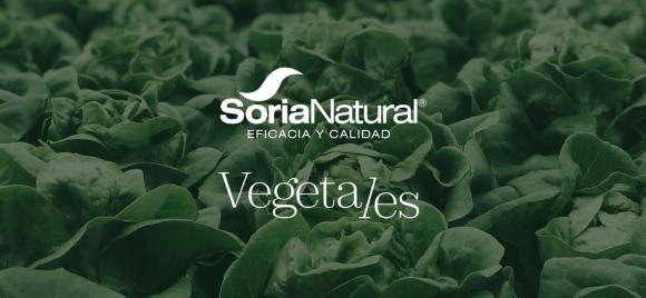 portada-VEGETALES-2024.jpg