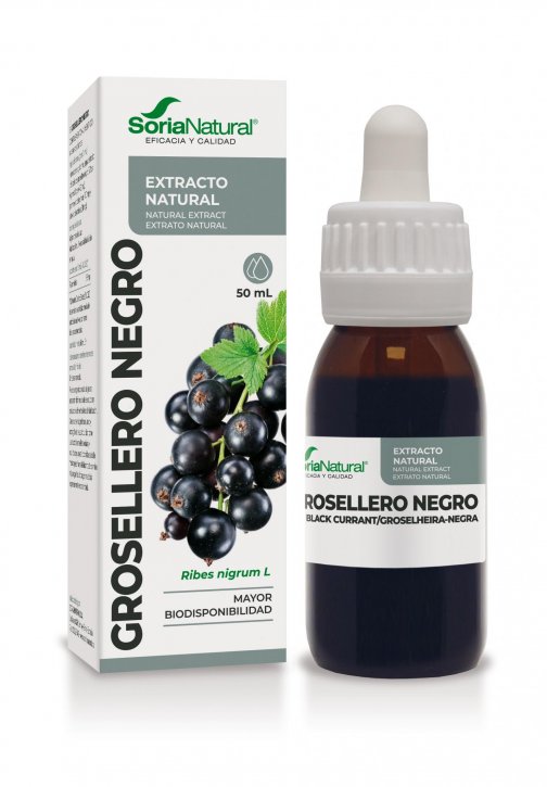 grosellero_negro_extracto_soria_natural.jpg