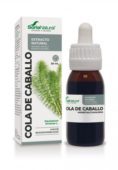 COLA DE CABALLO EXTRACTO SN SP.jpg