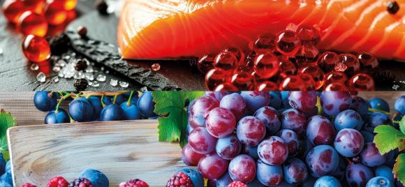 portada-antioxidantes-resveratrol-antaxantina.jpg